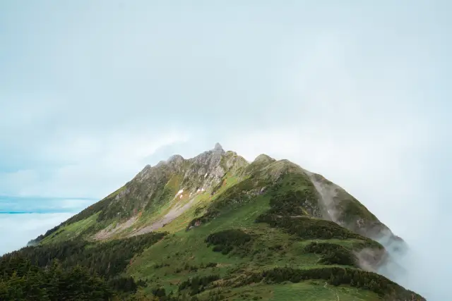 Harbor Mountain Trail