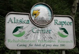 Alaska Raptor Center
